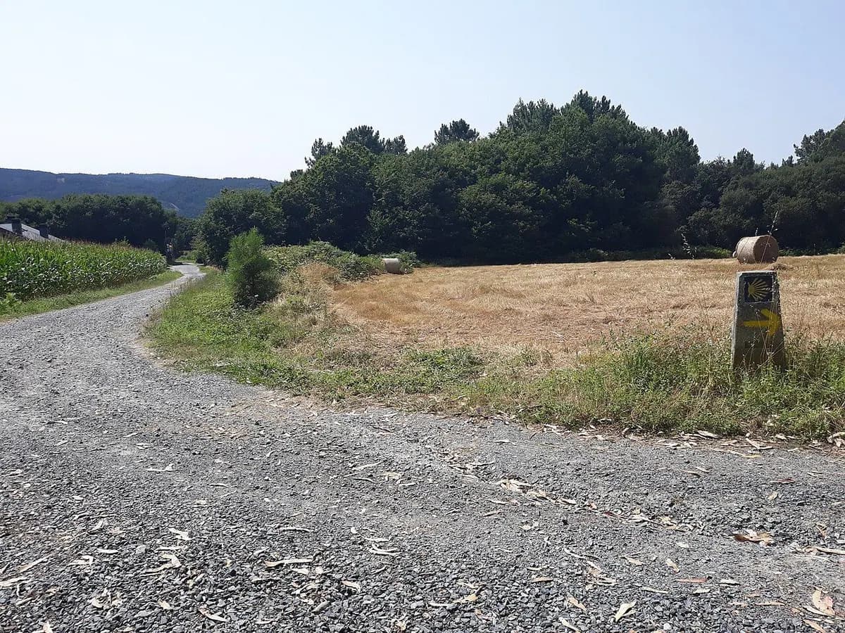 Sendero del Camino de Santiago entre campos de Galicia, con un mojón jacobeo