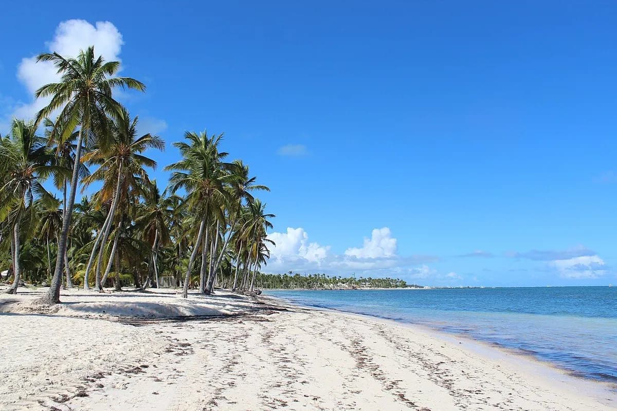Playa de arena blanca y mar turquesa en Cabeza de Toro, Punta Cana